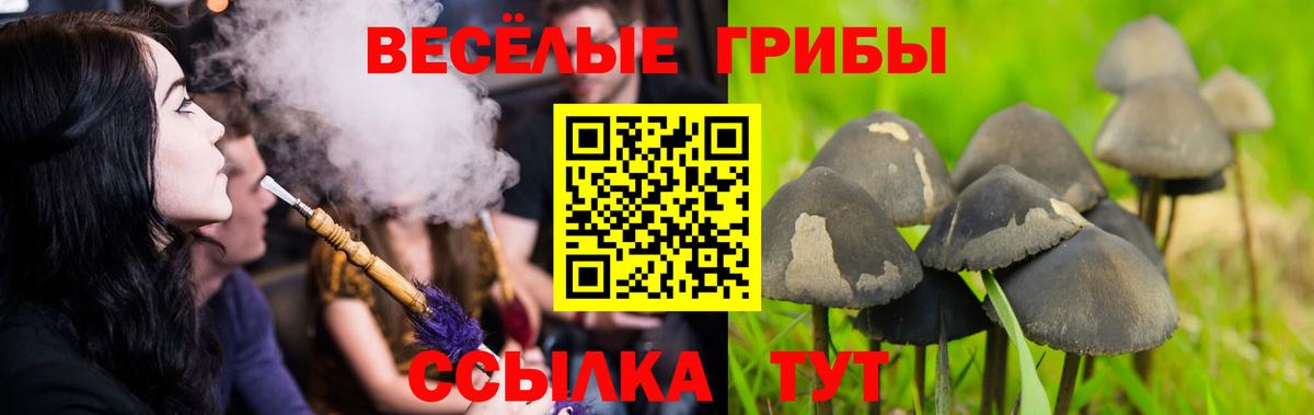 Псилоцибиновые грибы мухоморы Добрянка